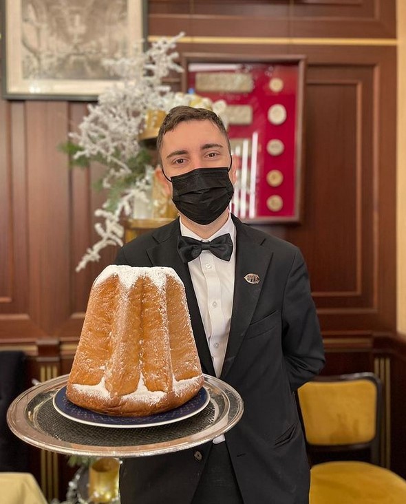 pandoro coya
